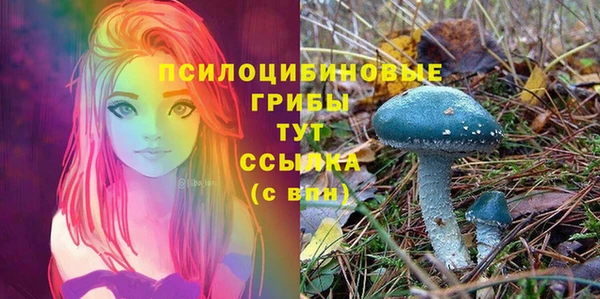 ALPHA-PVP Алексеевка
