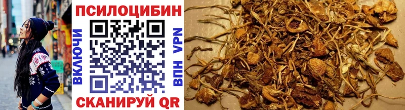 мориарти состав Волжский Псилоцибиновые грибы мухоморы